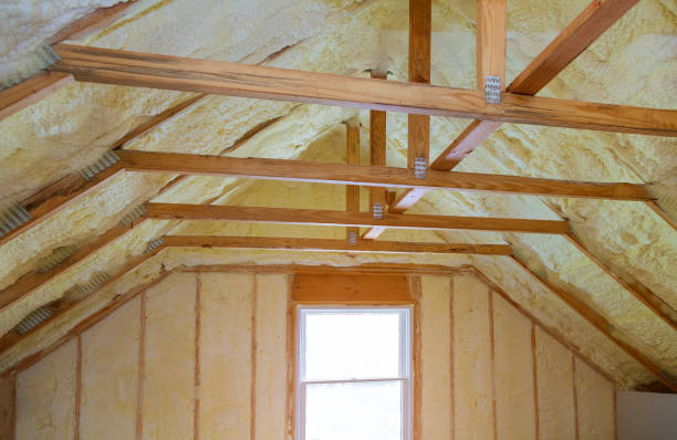 Best Spray Foam Insulation in Punta Rassa, FL