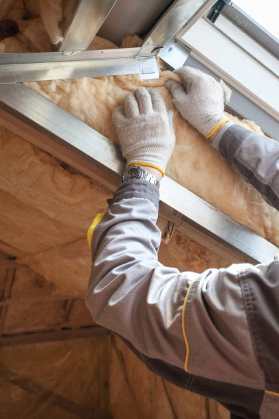 Types of Insulation We Offer in Punta Rassa, FL