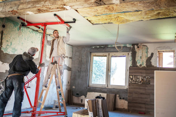 Best Eco-Friendly Insulation in Punta Rassa, FL