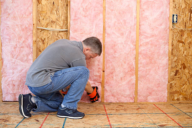 Best Energy Efficiency Insulation in Punta Rassa, FL