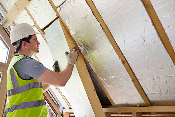 Best Energy Efficiency Insulation in Punta Rassa, FL